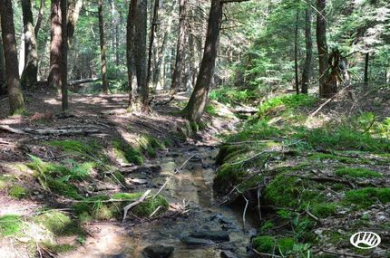 Farm Property in Clarion County, Pennsylvania