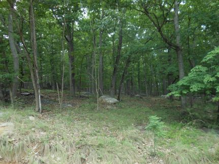 Farm Property in Hampshire County, West Virginia