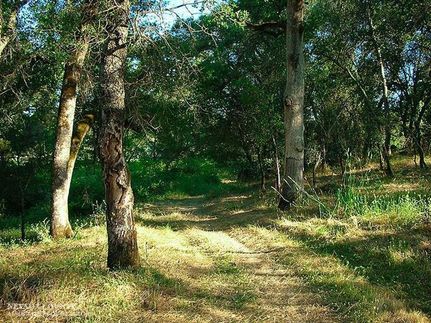 Farm Property in Nevada County, California
