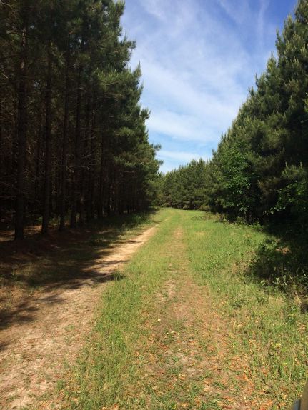 Property in Randolph County, Georgia