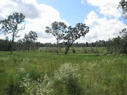 Ranch Property in Houston County, Texas