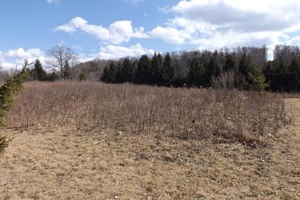 Ranch Property in Sullivan County, Pennsylvania