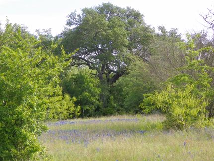 Farm Property in Washington County, Texas