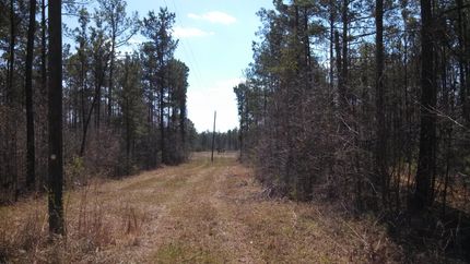 Farm Property in Monroe County, Georgia