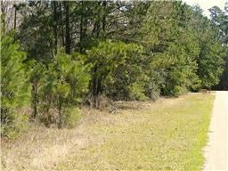 Farm Property in Montgomery County, Texas