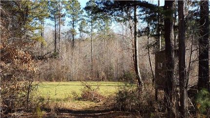 Farm Property in Marengo County, Alabama