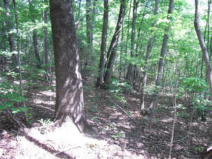 Ranch Property in Greenville County, South Carolina
