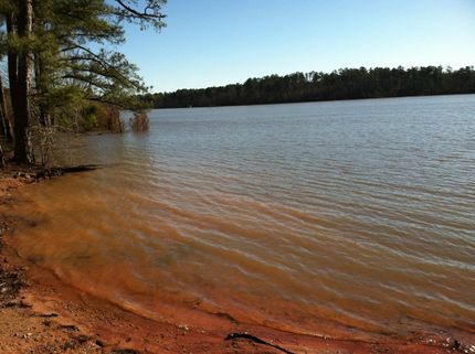 Farm Property in Lincoln County, Georgia