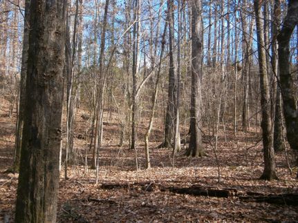 Farm Property in Webster County, Mississippi