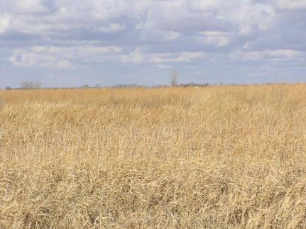 Property in Kandiyohi County, Minnesota