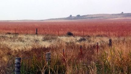 Farm Property in Comanche County, Kansas