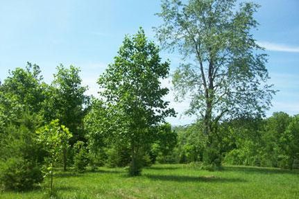 Property in Fayette County, Illinois