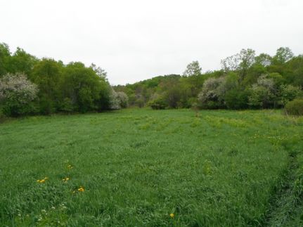 Farm Property in Cayuga County, New York