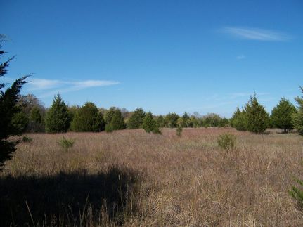 Farm Property in Collin County, Texas