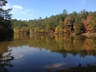 Property in Shelby County, Alabama