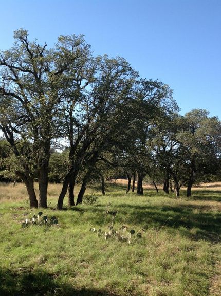 Property in Kimble County, Texas