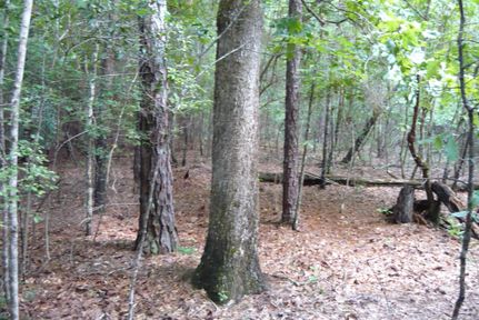 Farm Property in Covington County, Alabama