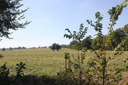 Ranch Property in Delaware County, Oklahoma