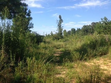 Farm Property in Shelby County, Alabama