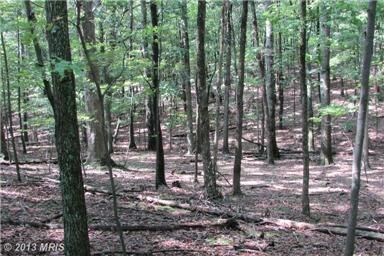 Farm Property in Hardy County, West Virginia
