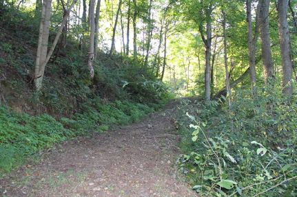Ranch Property in Monroe County, Ohio