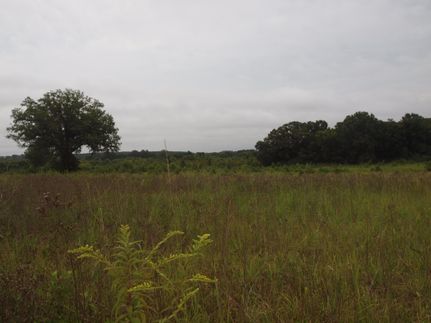 Ranch Property in Holmes County, Mississippi