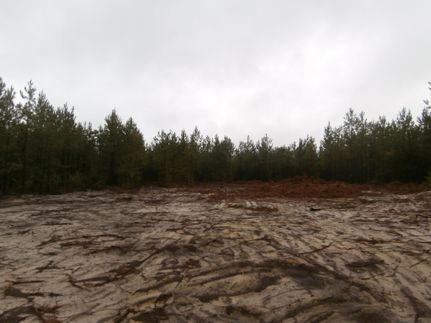 Ranch Property in Kershaw County, South Carolina