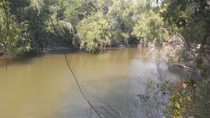 Farm Property in Bee County, Texas