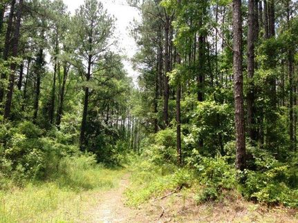 Farm Property in Crenshaw County, Alabama