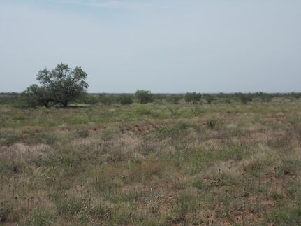 Farm Property in Haskell County, Texas