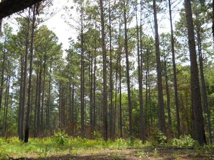 Recreational Property in Coweta County, Georgia