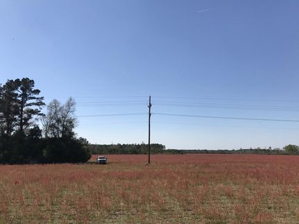 Farm Property in Allendale County, South Carolina