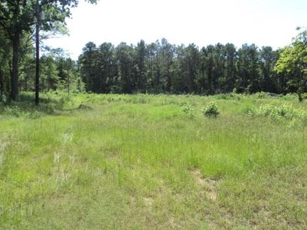 Farm Property in Shelby County, Texas