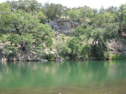 Ranch Property in Medina County, Texas