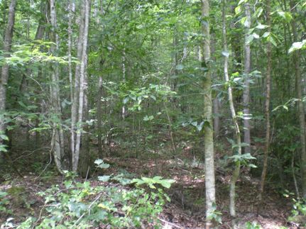 Farm Property in Grainger County, Tennessee