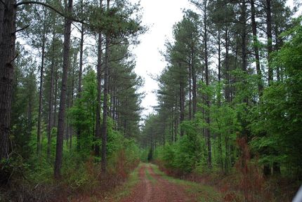 Property in Union County, South Carolina