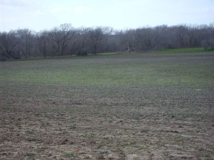 Property in Ellis County, Texas