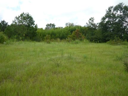 Farm Property in Coffee County, Alabama