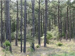 Property in Montgomery County, Texas