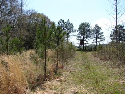 Property in Autauga County, Alabama