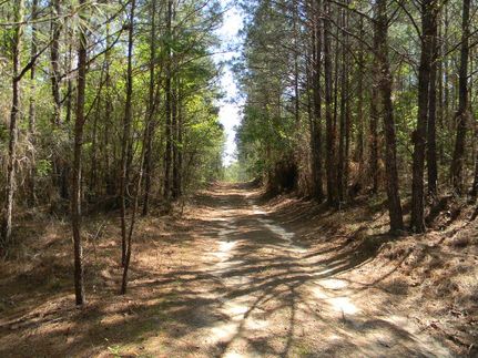 Farm Property in Bullock County, Alabama