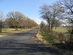Farm Property in Callahan County, Texas