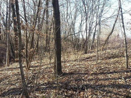 Farm Property in Davis County, Iowa