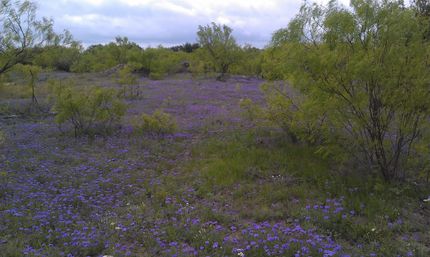 Farm Property in Sutton County, Texas