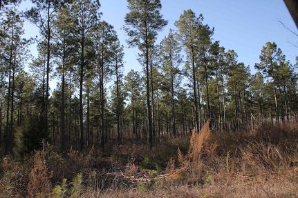 Farm Property in Cullman County, Alabama