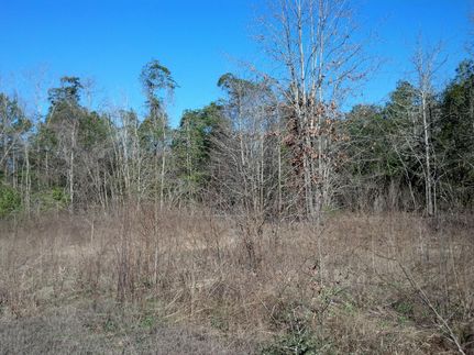 Farm Property in Nacogdoches County, Texas