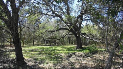 Farm Property in Austin County, Texas