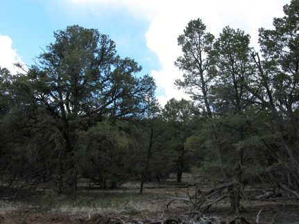 Property in Cibola County, New Mexico