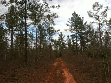 Property in Randolph County, Georgia