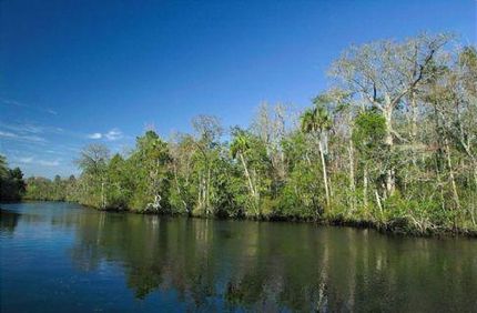 Waterfront Property in Wakulla County, Florida